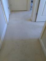 Professional Carpet Systems of Raleigh image 6